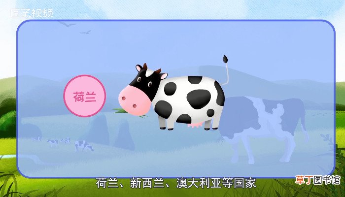 奶牛有公的吗