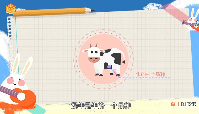 奶牛有公的吗