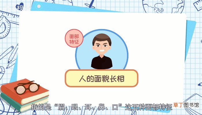 五官是哪五官