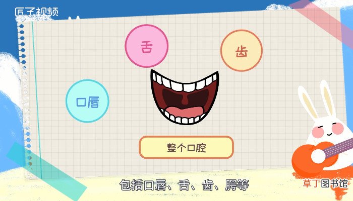 五官是哪五官