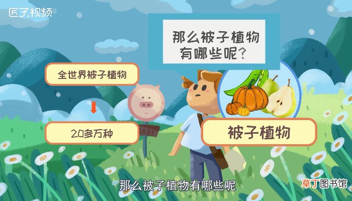 被子植物有哪些