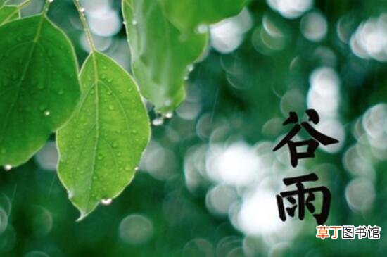 谷雨节气的由来和习俗