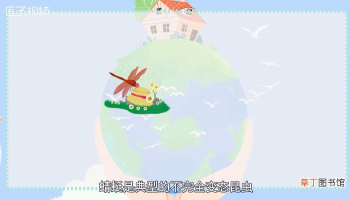 蜻蜓是益虫吗