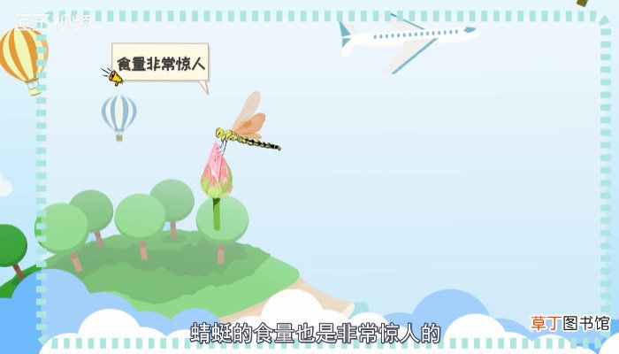 蜻蜓是益虫吗