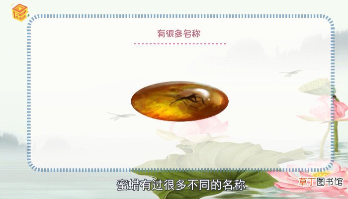 蜜蜡是什么