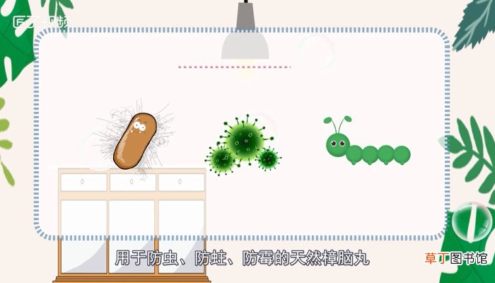 樟脑丸有毒吗