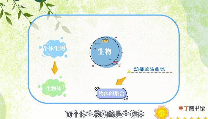 什么是生物