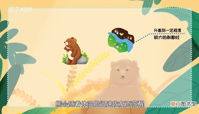 熊冬眠吗