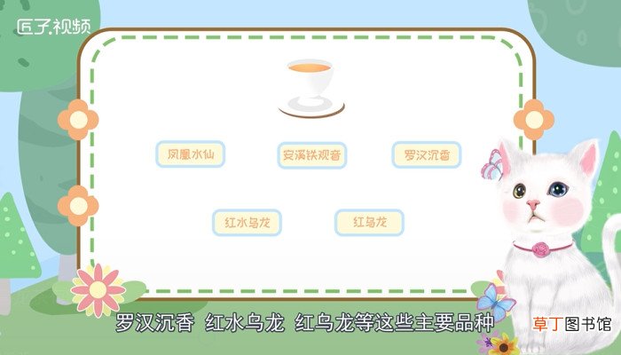 乌龙茶有哪些