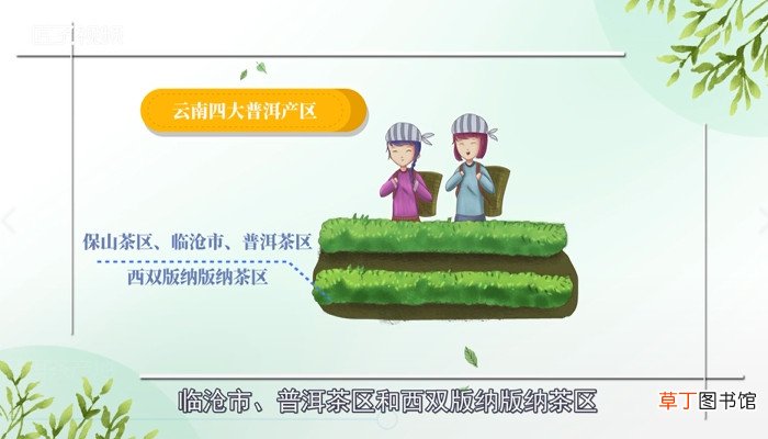 普洱茶产地