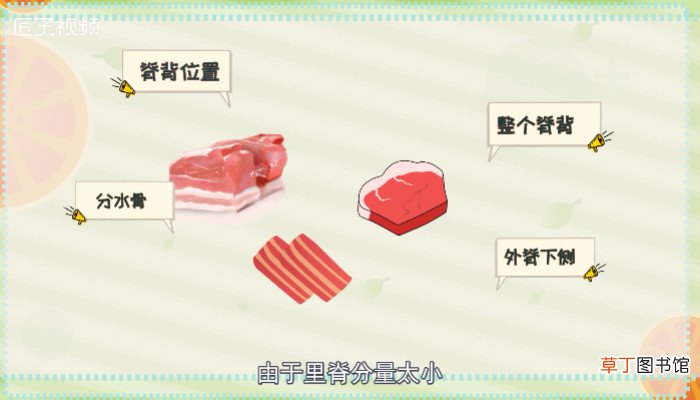 里脊肉是什么肉