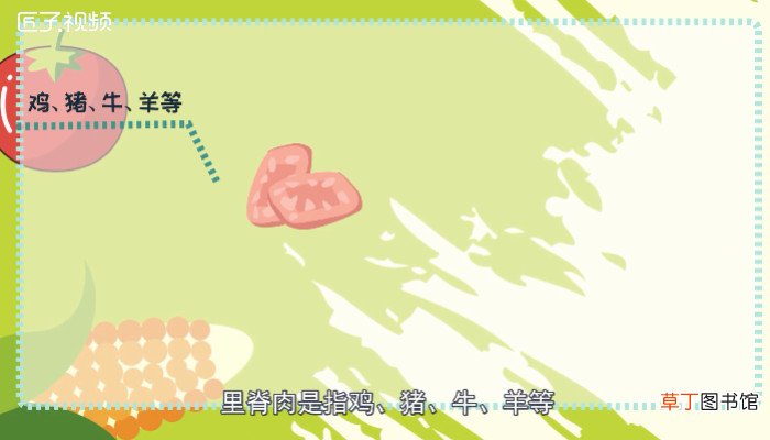 里脊肉是什么肉