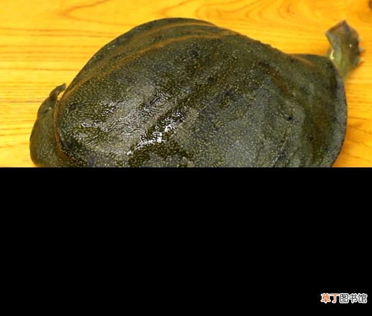 乌鸡煮20分钟能熟吗 乌鸡要炖多久