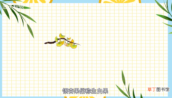 银杏果能吃吗