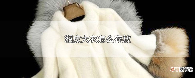 貂皮大衣怎么存放