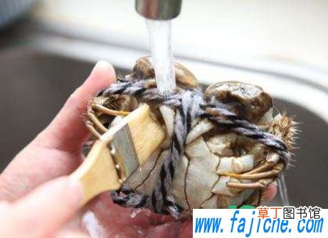 螃蟹洗的时候要打开肚子吗 洗大闸蟹要打开壳吗