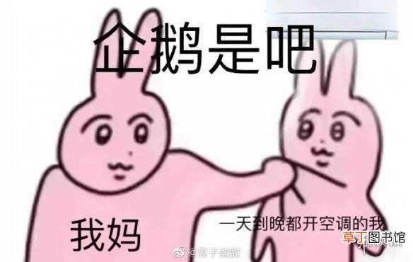 粉兔子表情包原图 粉兔子表情包 两只粉兔子表情包大全