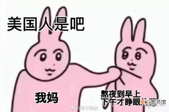 粉兔子表情包原图 粉兔子表情包 两只粉兔子表情包大全