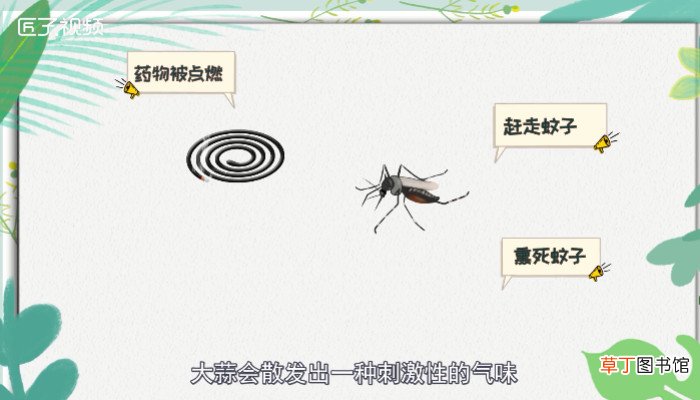 蚊子怕什么