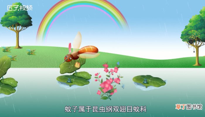 蚊子怕什么