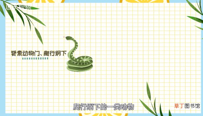蛇怕什么