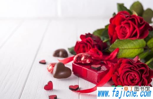 养玫瑰花哪些事项是要注意的 玫瑰花怎么养才不会枯萎