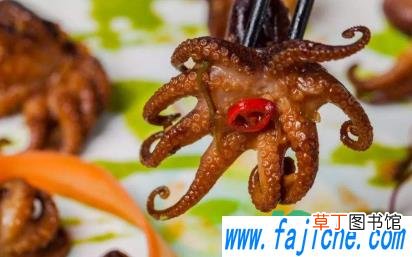 八爪鱼皮怎么处理下去 八爪鱼怎么清洗要去皮吗