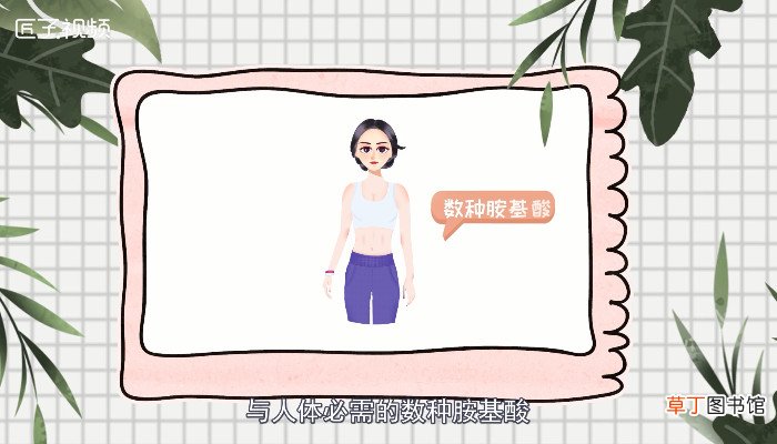 寒天是什么