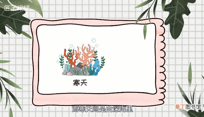 寒天是什么