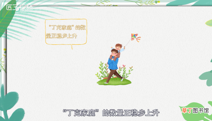 丁克是什么意思