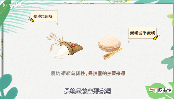 粳米是什么米