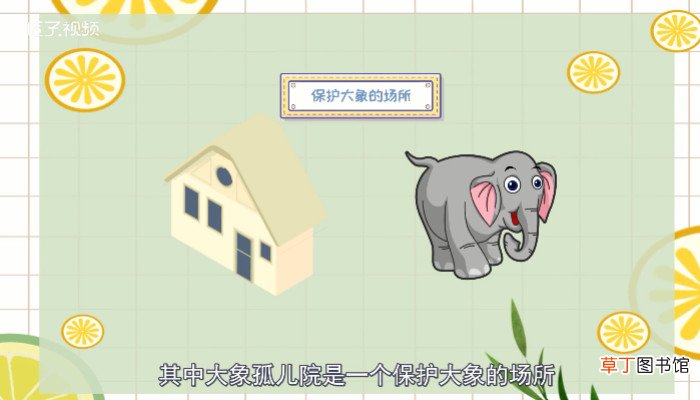 斯里兰卡是哪个国家
