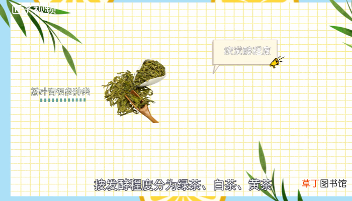 大红袍是什么茶