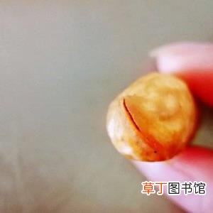 骨头汤要煮多久最好 五香花生煮多久