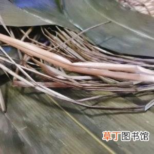 高压锅煮粽子几分钟熟 粽子高压锅煮多久