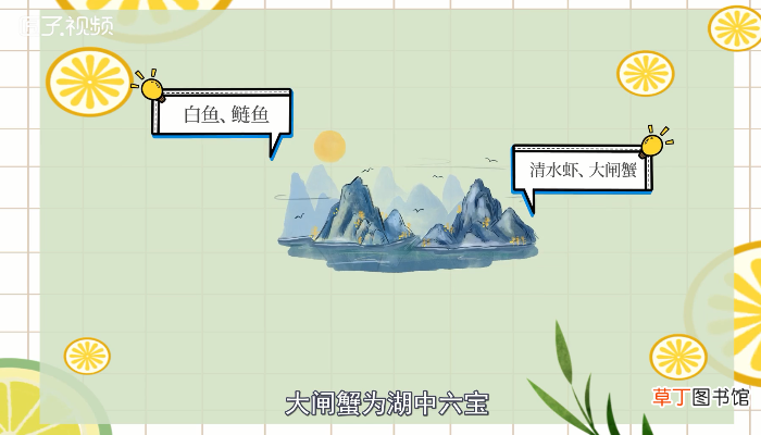 阳澄湖在哪