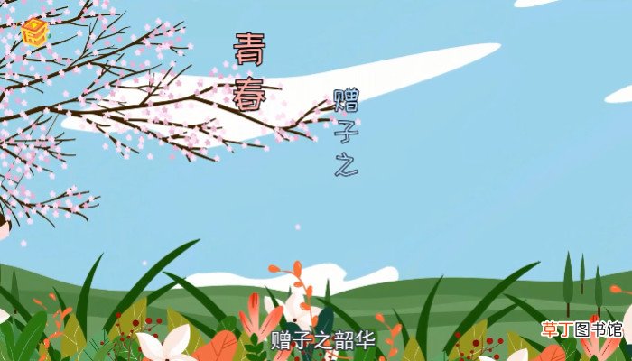 韶华是什么意思