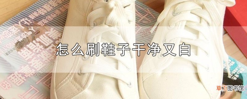 怎么刷鞋子干净又白