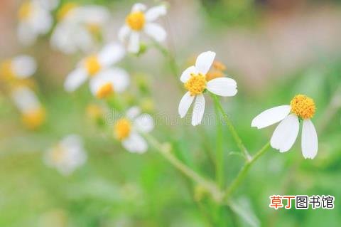 自学雕刻怎么学要多久 学雕刻要多久