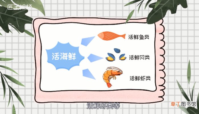海鲜种类
