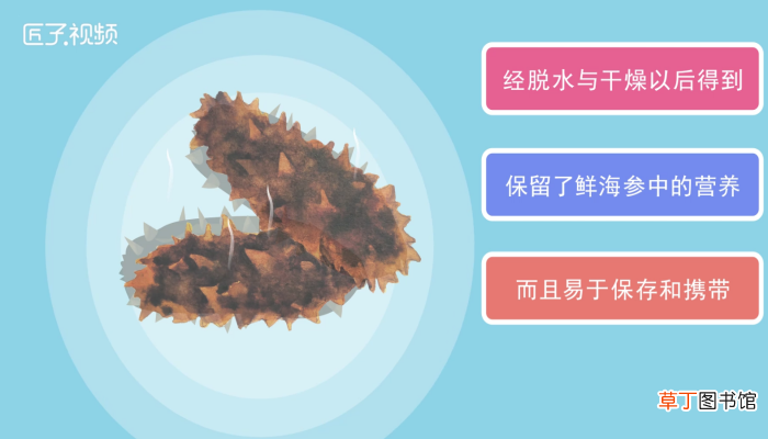 干海参如何保存