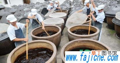 醋长毛怎么办 醋长白毛咋回事