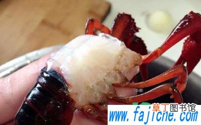 小龙虾寄生虫能煮死吗 小龙虾怎么清洗寄生虫