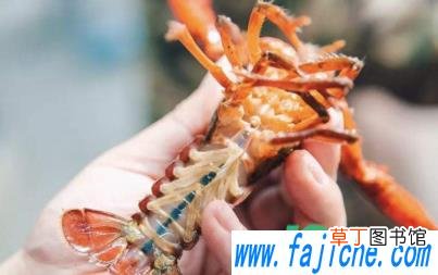 小龙虾寄生虫能煮死吗 小龙虾怎么清洗寄生虫