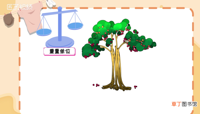 一克拉是多少克