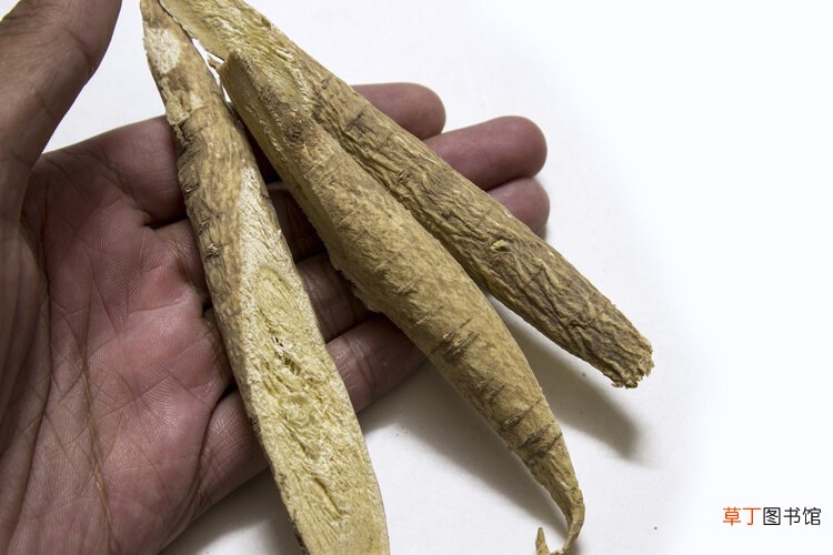 黄芪泡水喝有什么好处？降血压抗肿瘤还能抗衰老