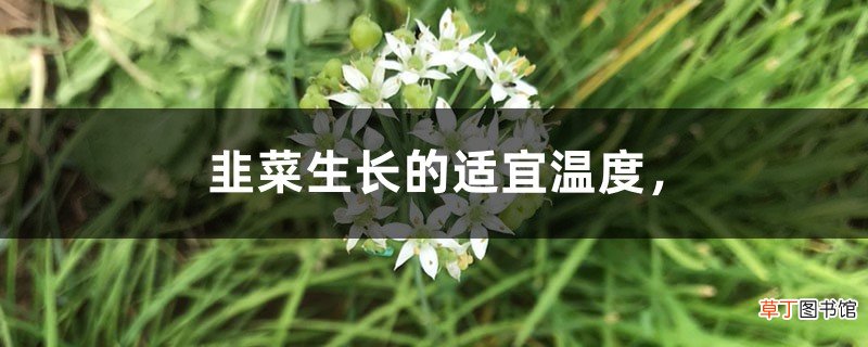 韭菜生长的适宜温度，韭菜生长周期