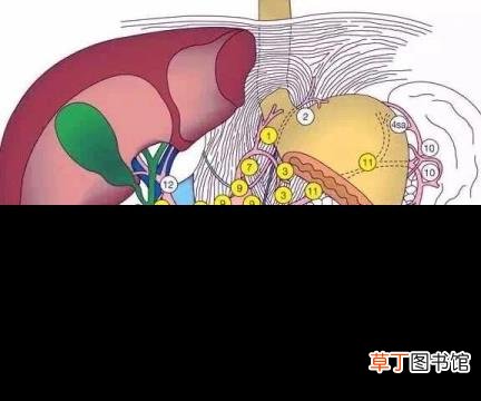 早期胃癌esd术后复查时间 胃癌术后多久复查一次