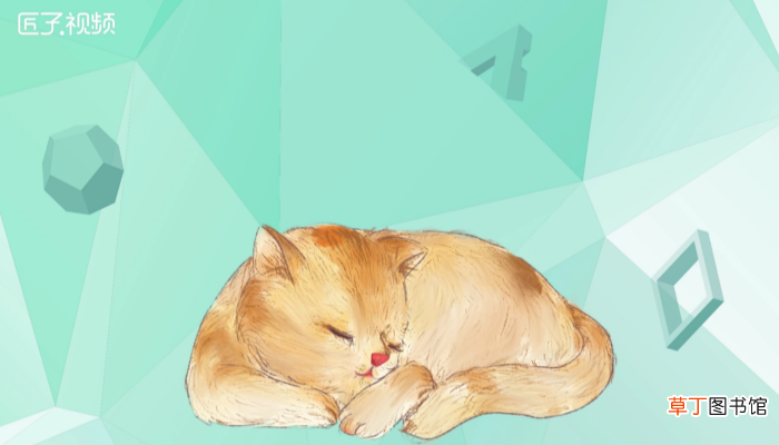 猫薄荷对猫有什么作用