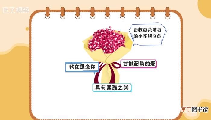 满天星花语和寓意